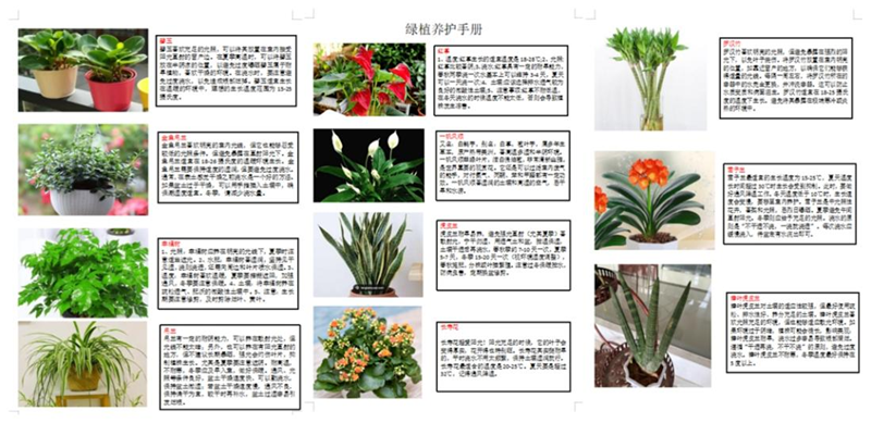 圖片3.png